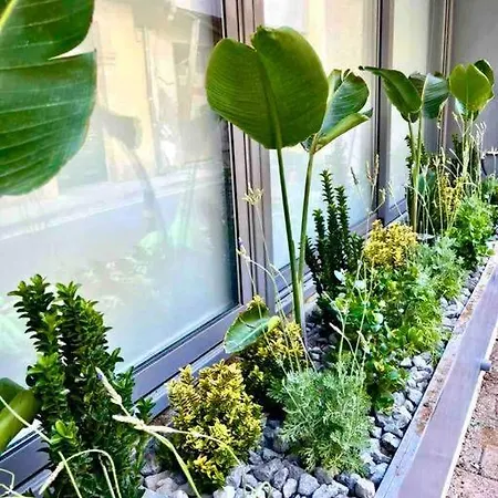 Demetra 1 Bdr Down Town Apartment *