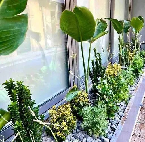 Demetra 1 Bdr Down Town Lägenhet *