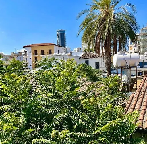 Demetra 1 Bdr Down Town Nicosia